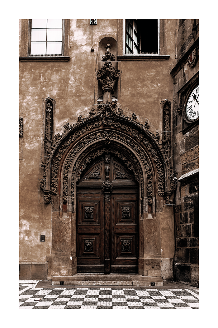 Dark Brown Door Poster