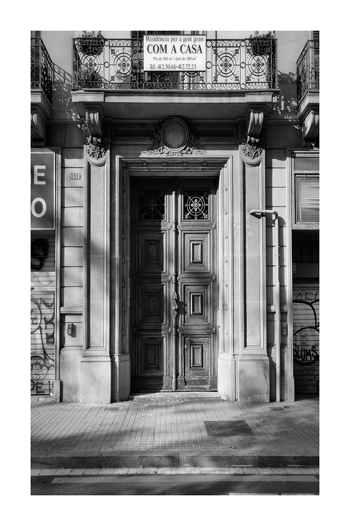 Vintage Door Poster