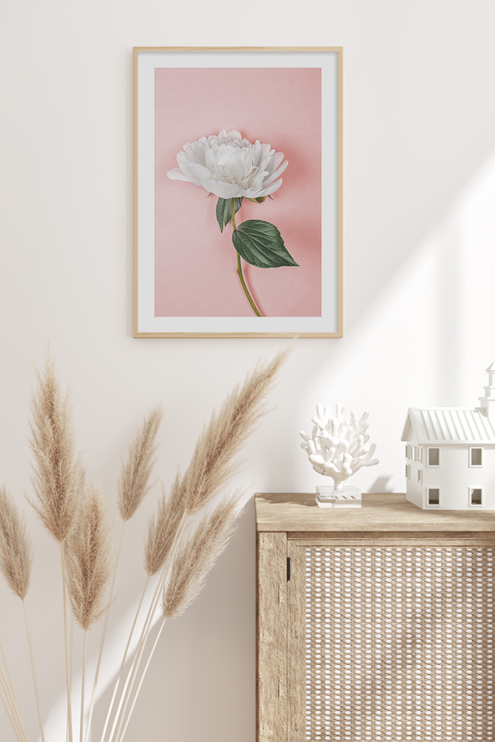 White Paeonia Poster