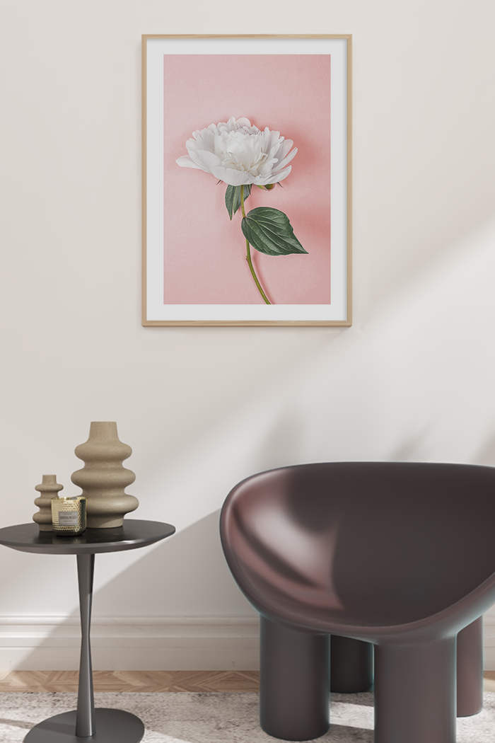 White Paeonia Poster