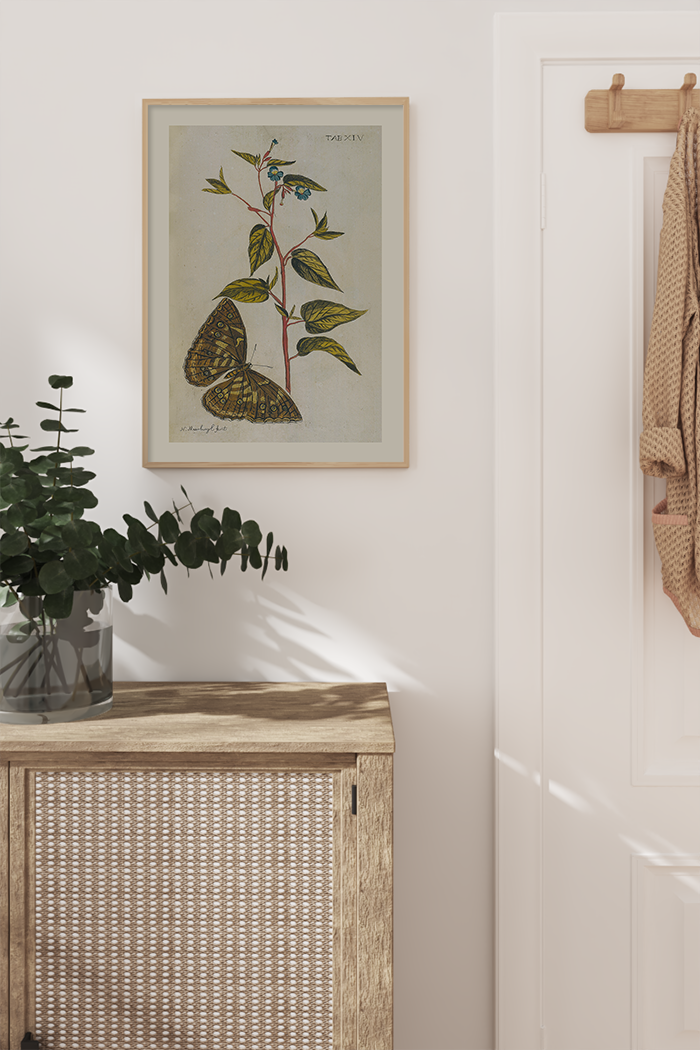 Vintage Butterfly Botanical Poster