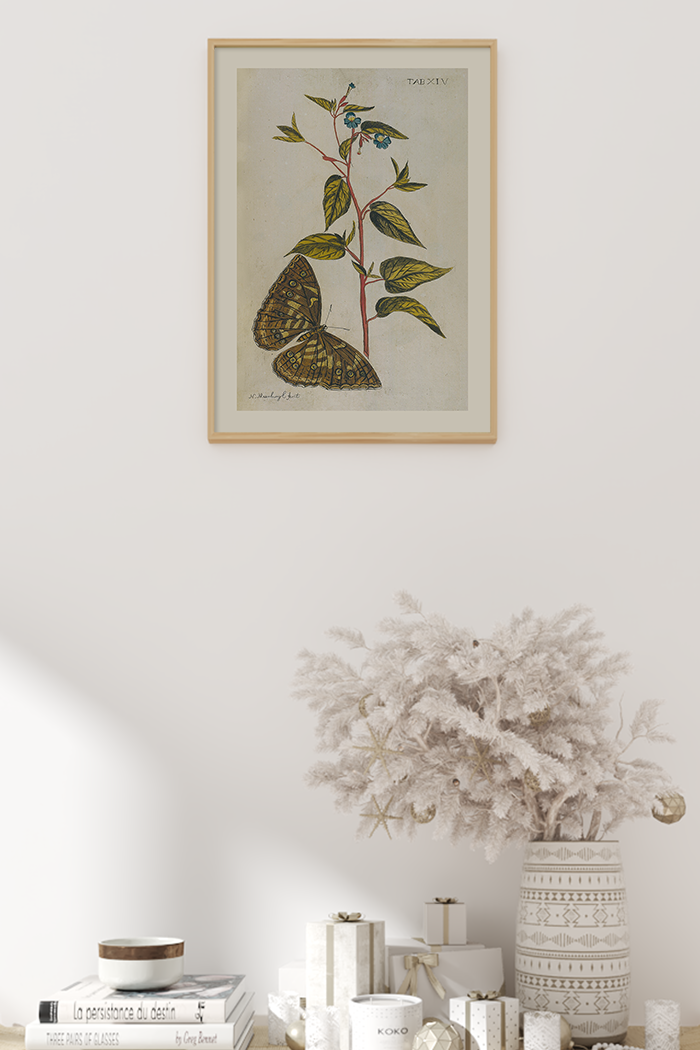Vintage Butterfly Botanical Poster
