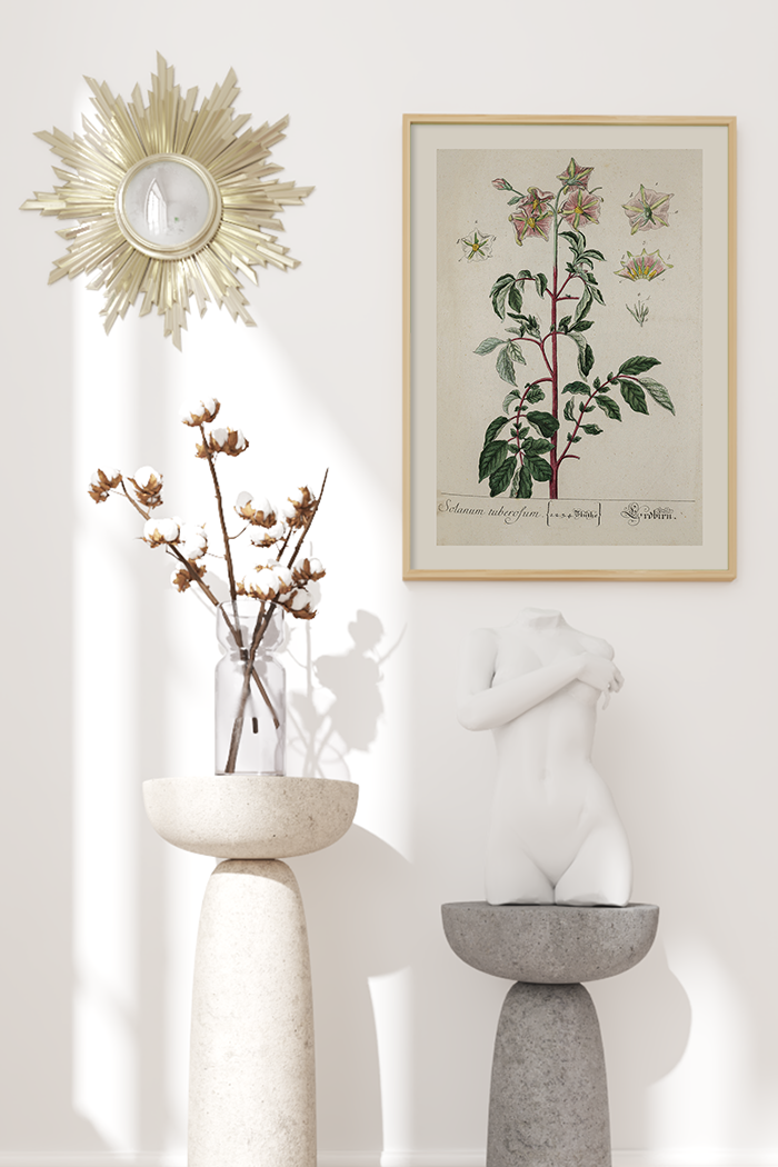 Vintage Solanum Tuberofum Leaf Poster