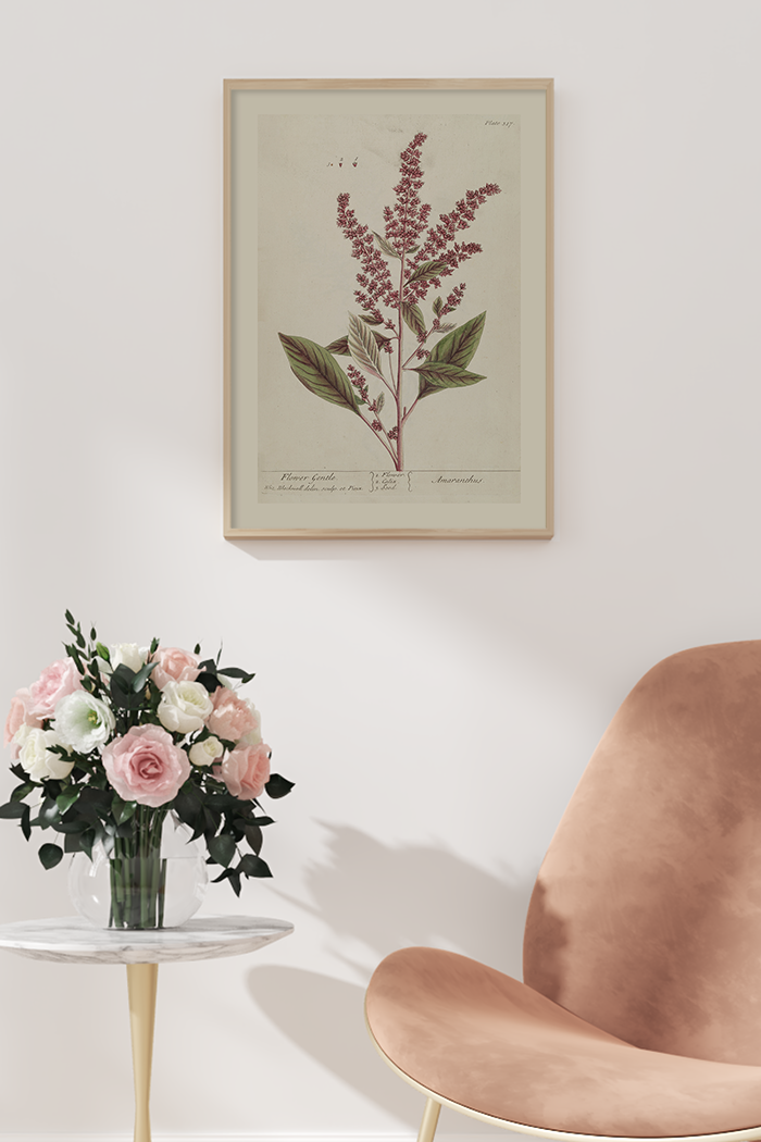 Vintage Amaranthus Poster