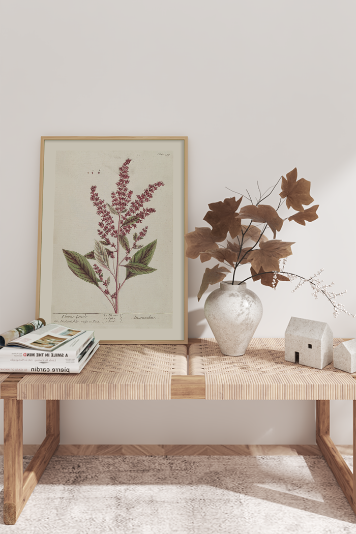 Vintage Amaranthus Poster