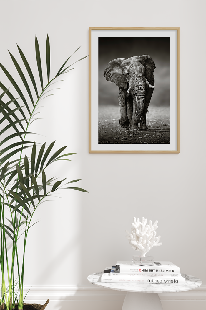 Vintage Elephant Poster