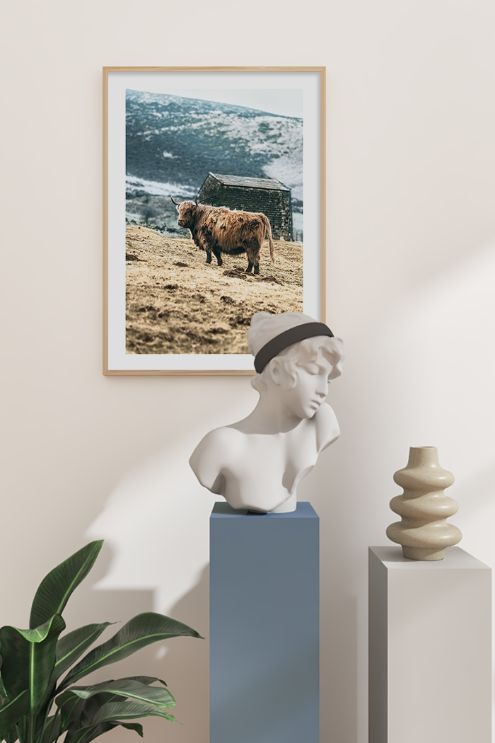 Highland Cow Poster No.3