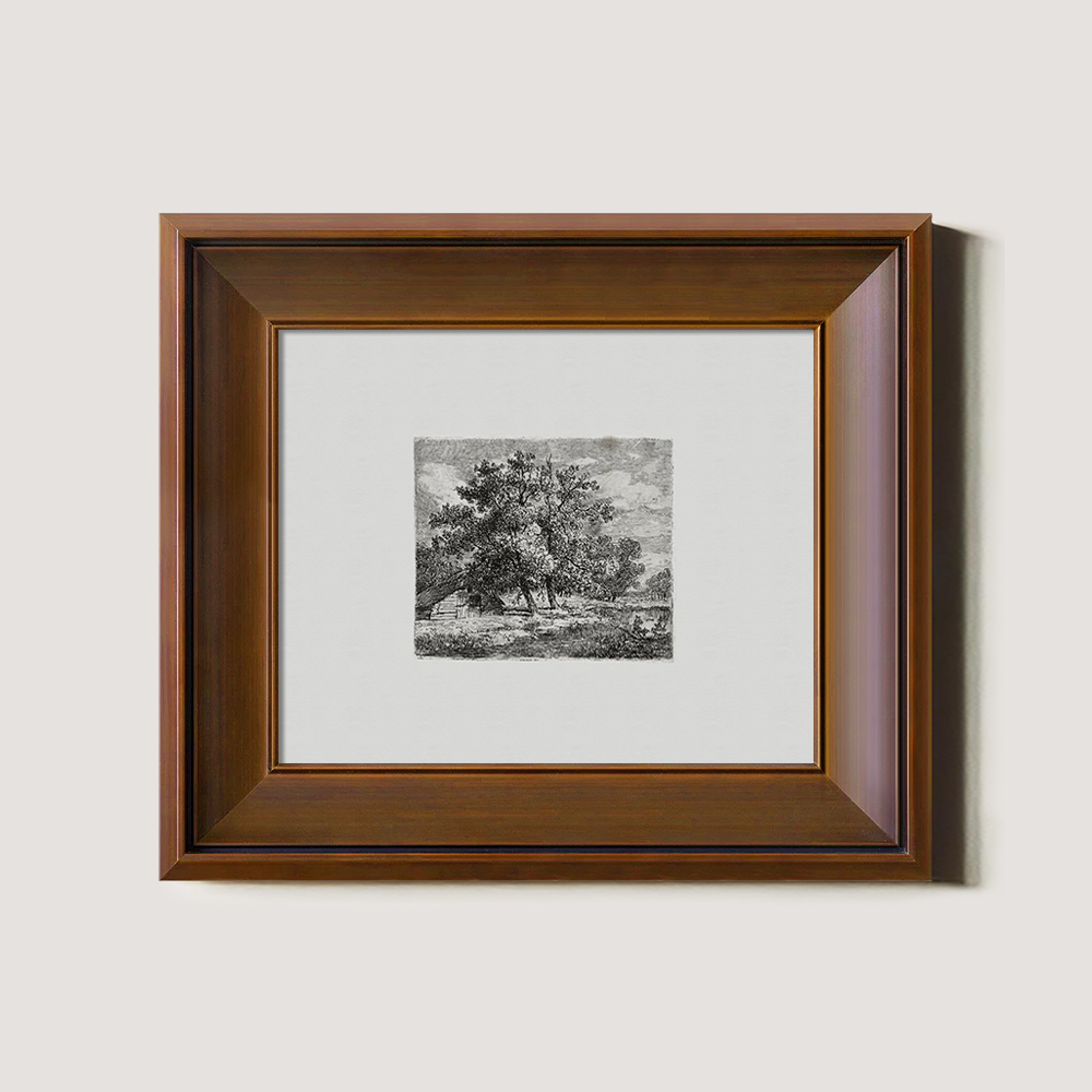 Majestic Canopy Over Cottage Etching Reverie