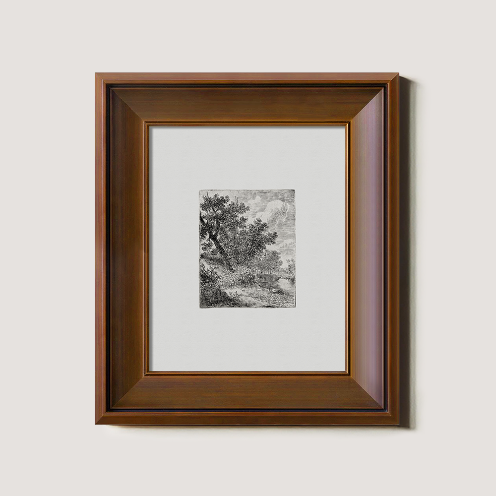 Shaded Arboreal Hollow Etching Reverie