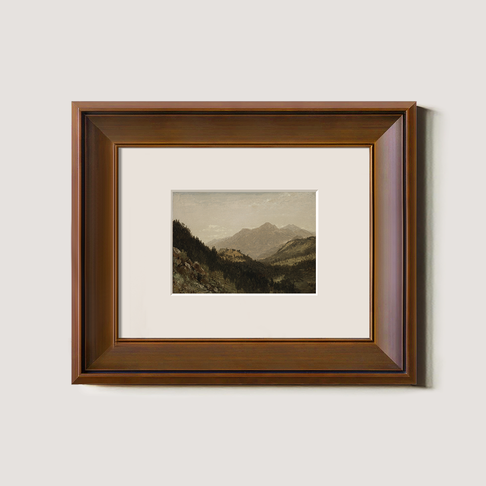 Misty Alpine Valley with Towering Peaks and Dense Firs