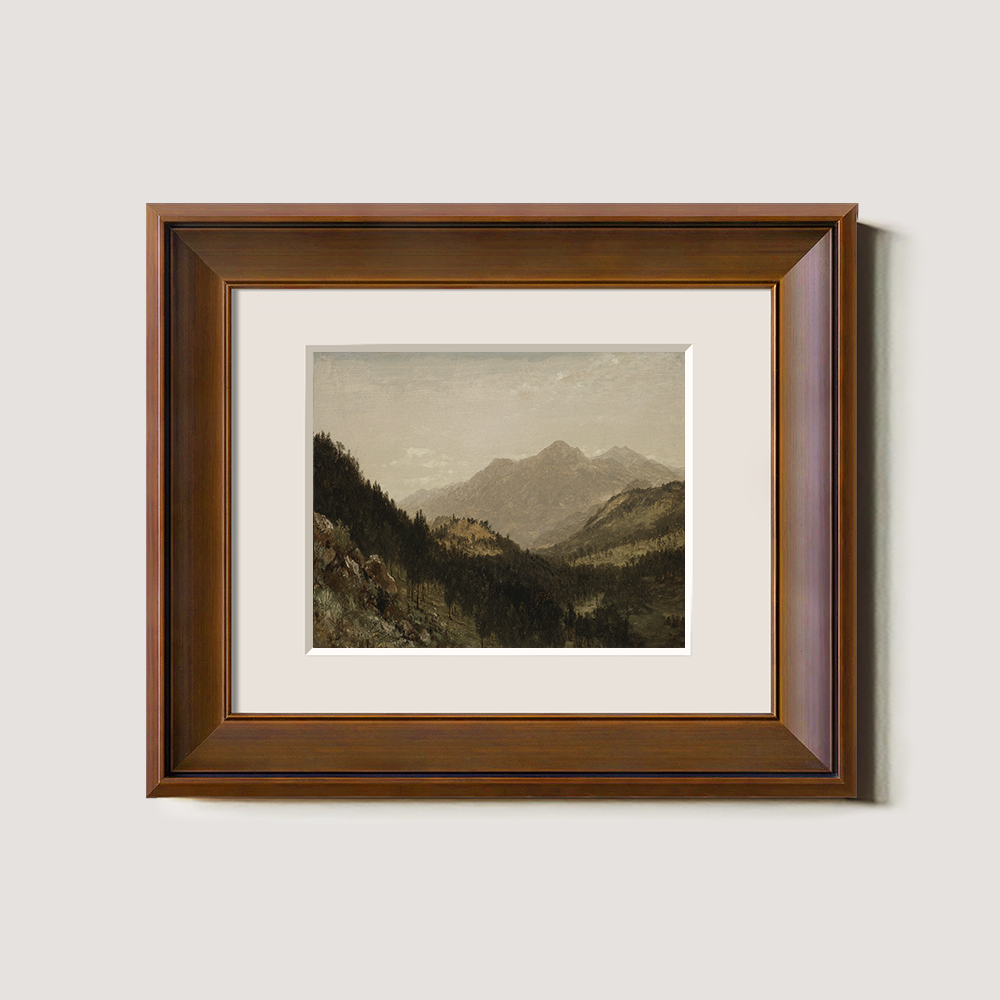Misty Alpine Valley with Towering Peaks and Dense Firs