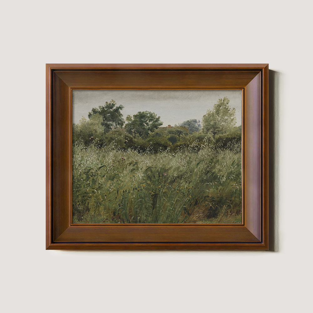 Hazy Meadow with Swaying Grasses and Graceful Trees