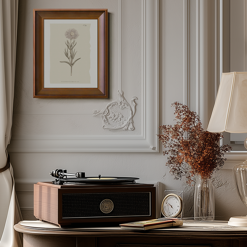 Vintage Onopordum Acanthium Botanical Etching