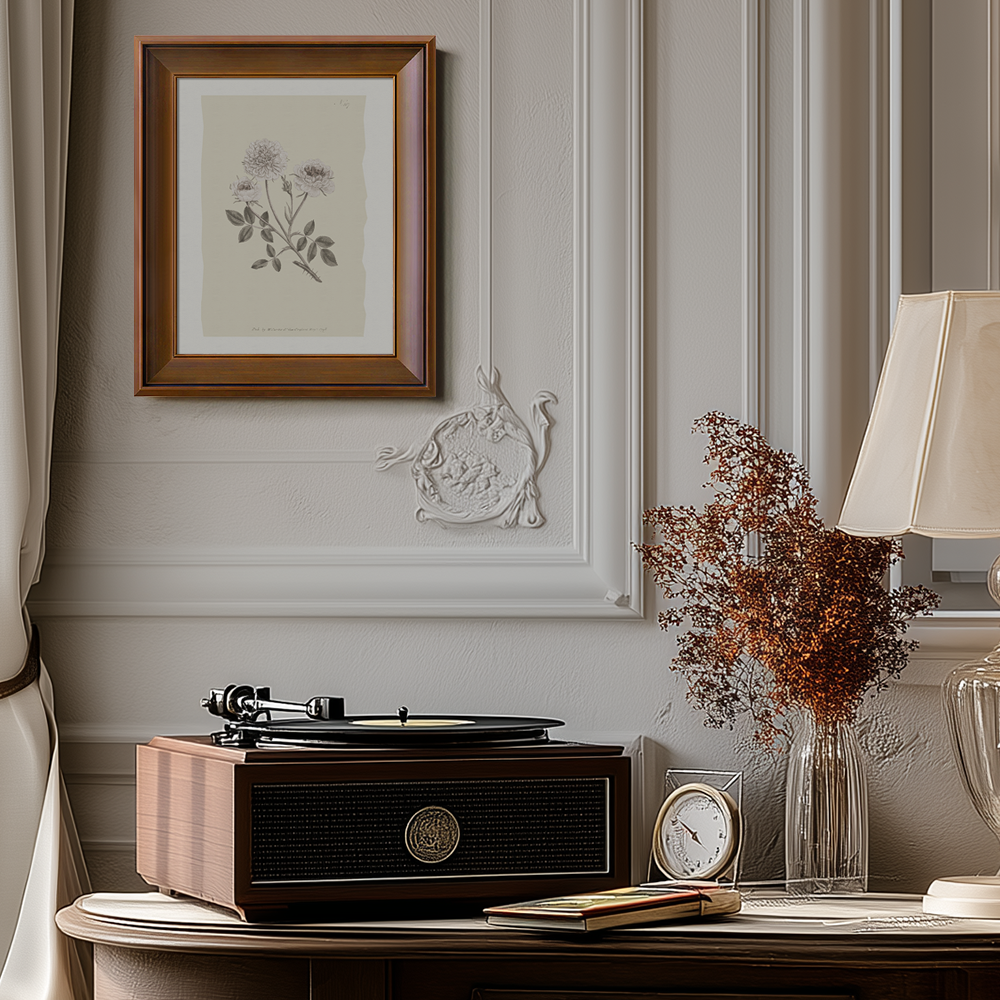 Vintage Rosa Centifolia Botanical Etching