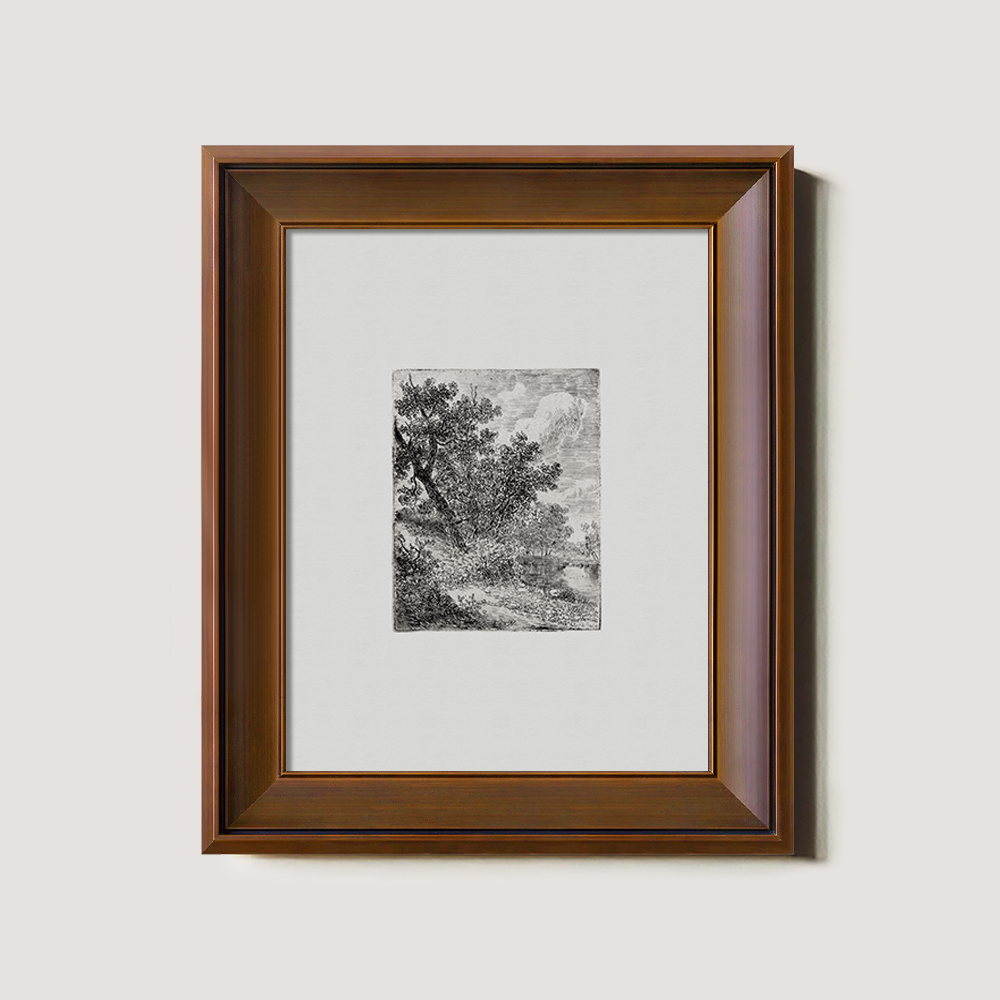 Shaded Arboreal Hollow Etching Reverie