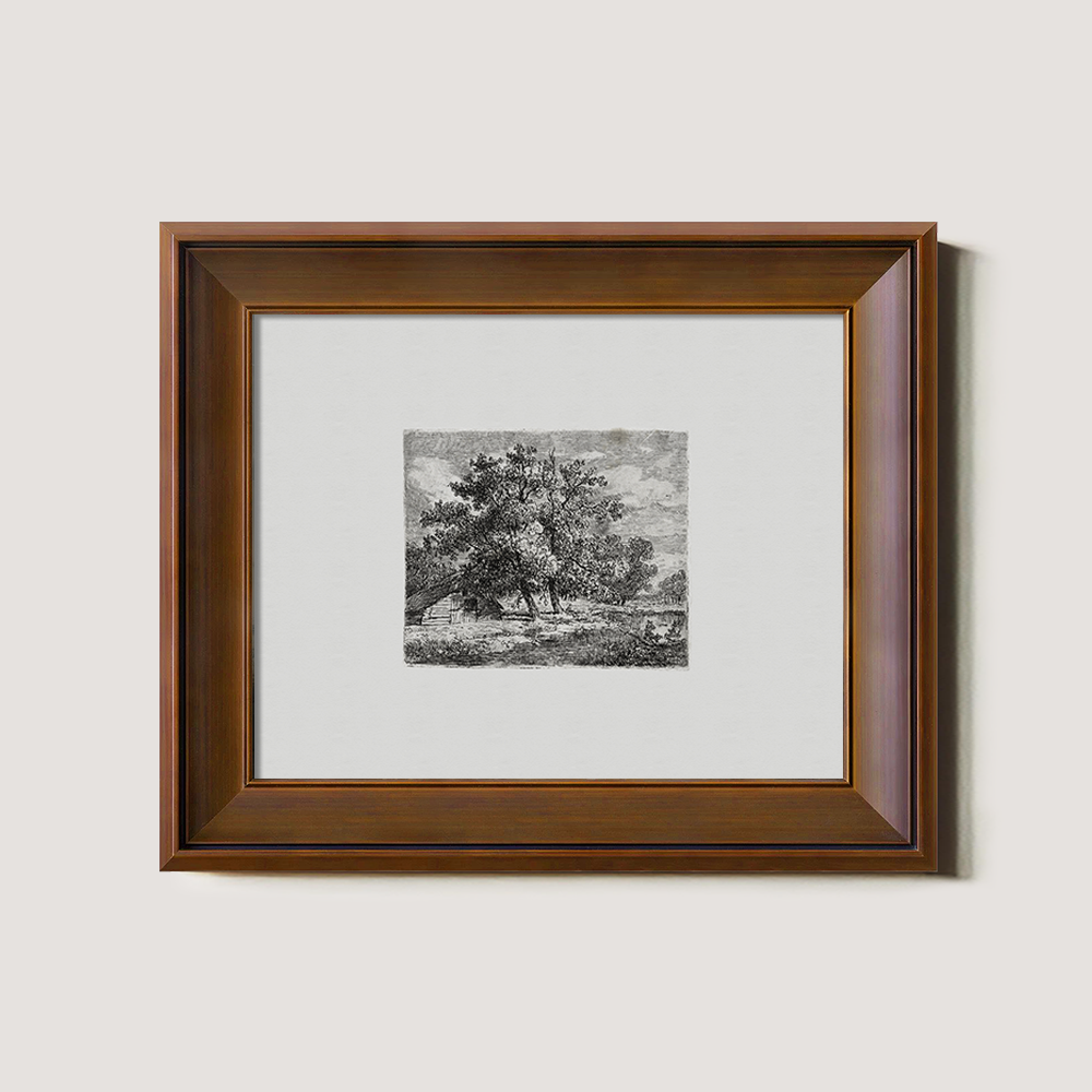 Majestic Canopy Over Cottage Etching Reverie