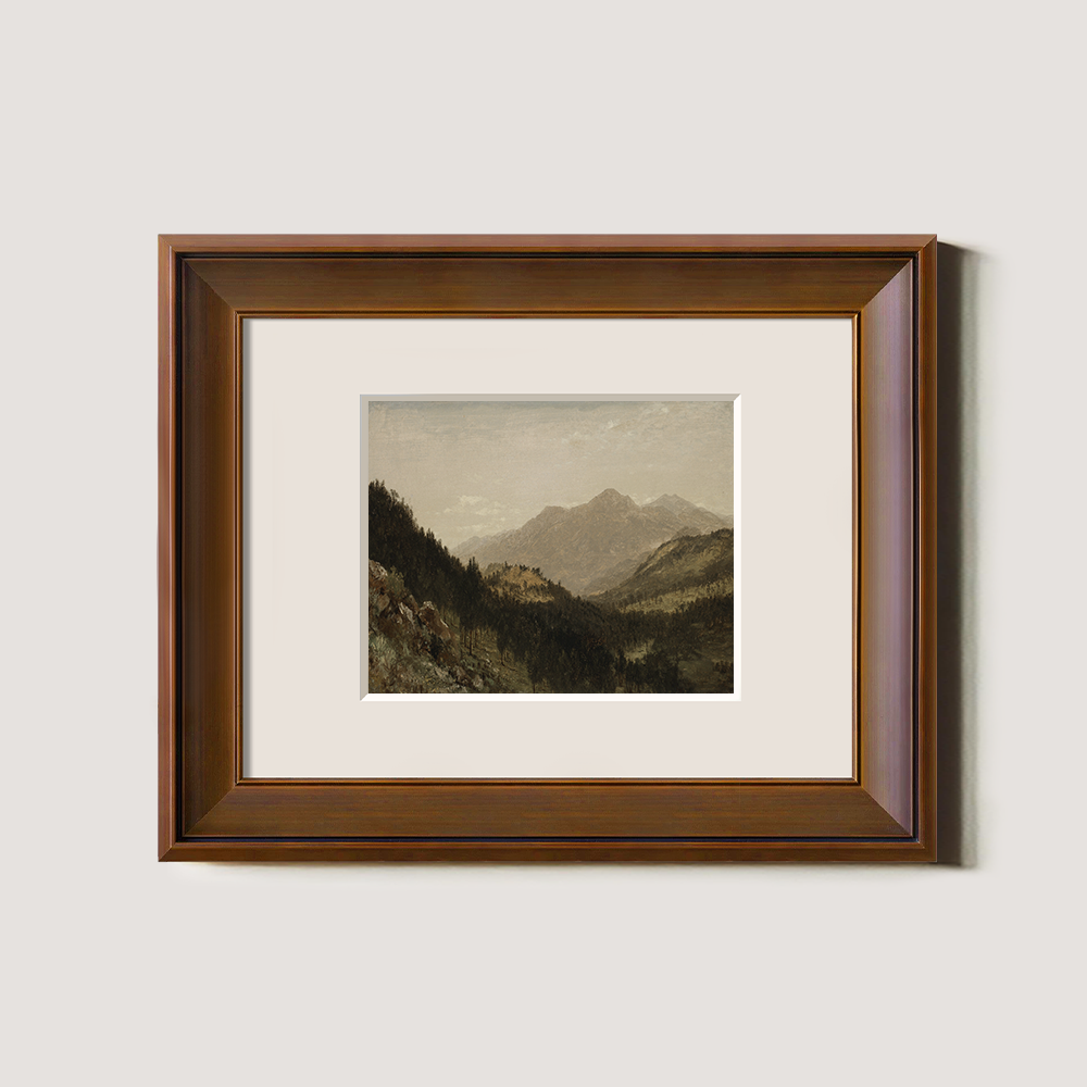 Misty Alpine Valley with Towering Peaks and Dense Firs