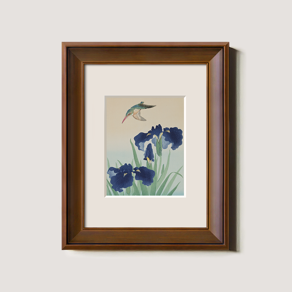 Hummingbird & Iris Bloom - Kacho-ga Study