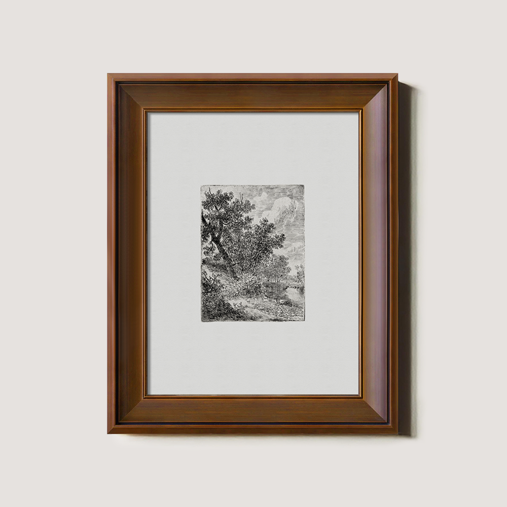 Shaded Arboreal Hollow Etching Reverie