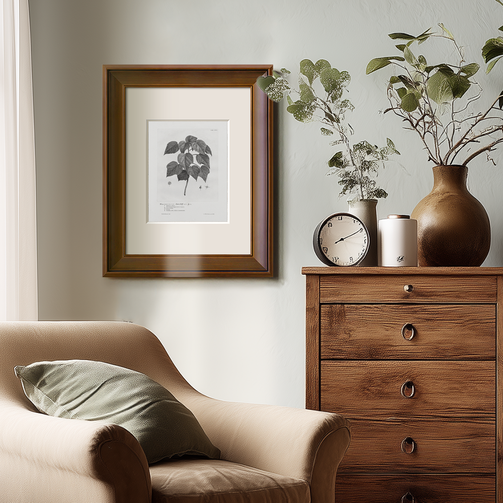 Vintage Helianthus Tuberosus Botanical Etching