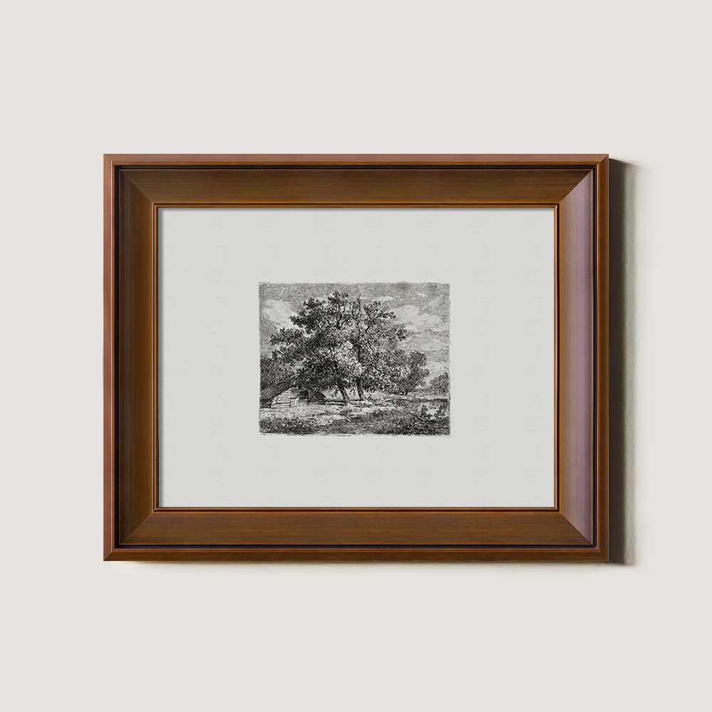 Majestic Canopy Over Cottage Etching Reverie