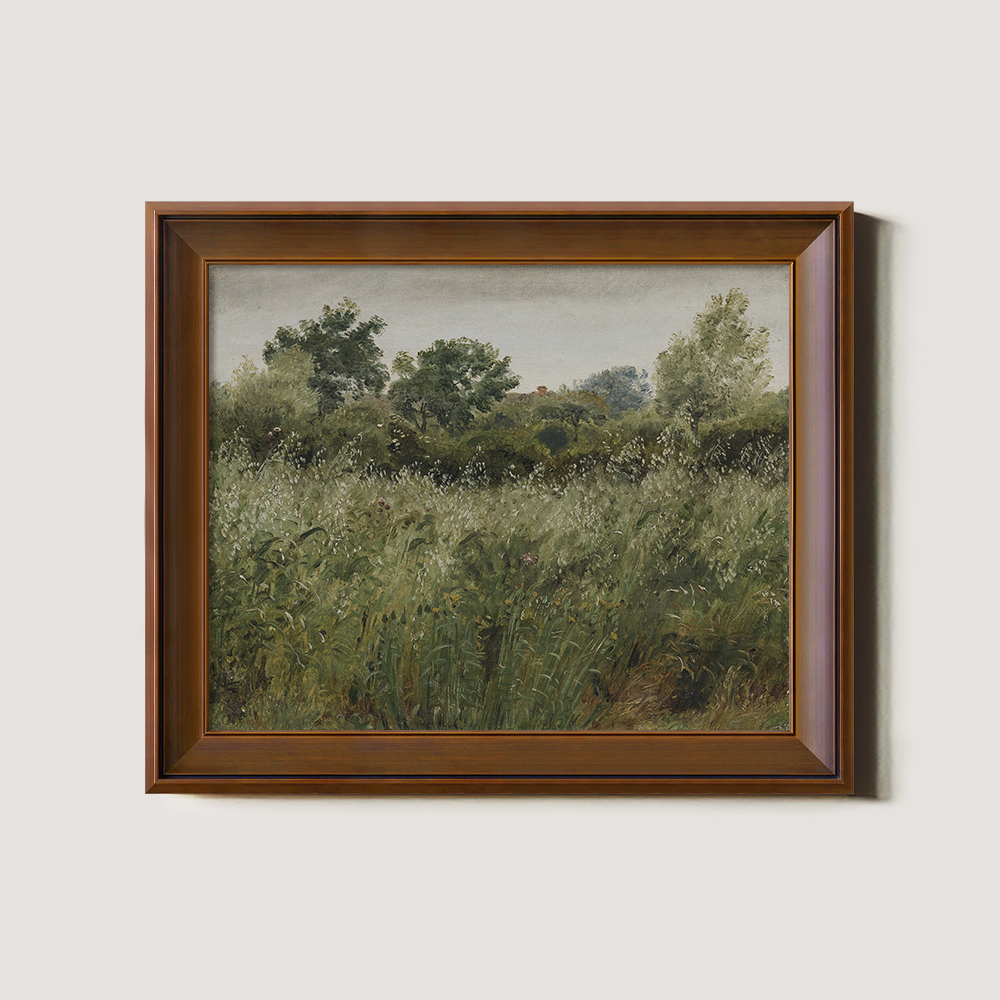 Hazy Meadow with Swaying Grasses and Graceful Trees
