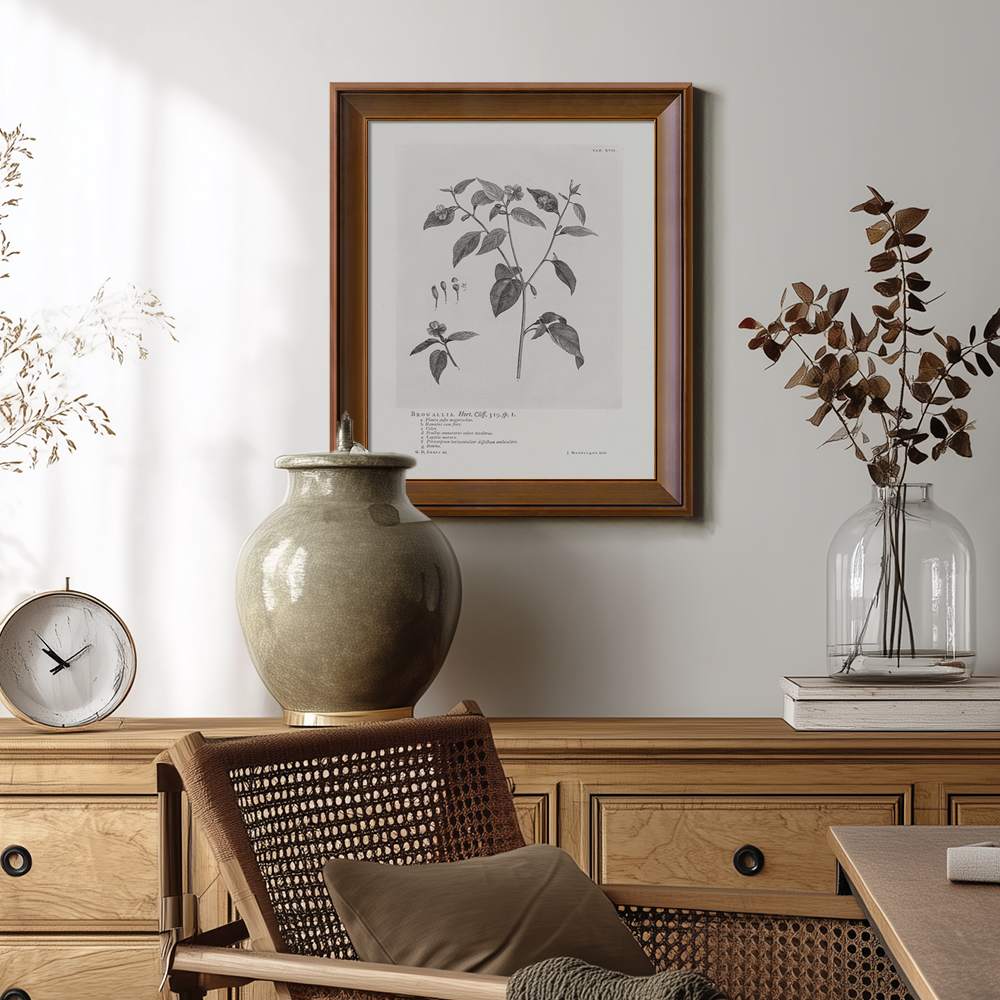 Vintage Browallia Hert Botanical Etching