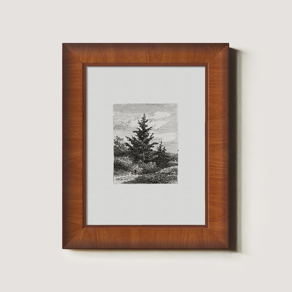 Evergreen Pine Slopes Etching Reverie