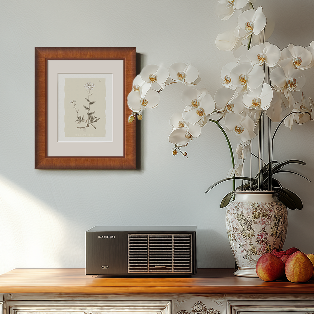 Vintage Cardamine Hirsuta Botanical Etching