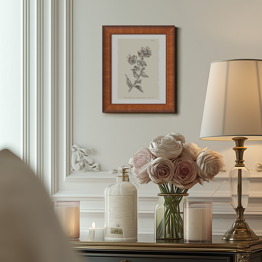 Vintage Bupleurum Botanical Etching