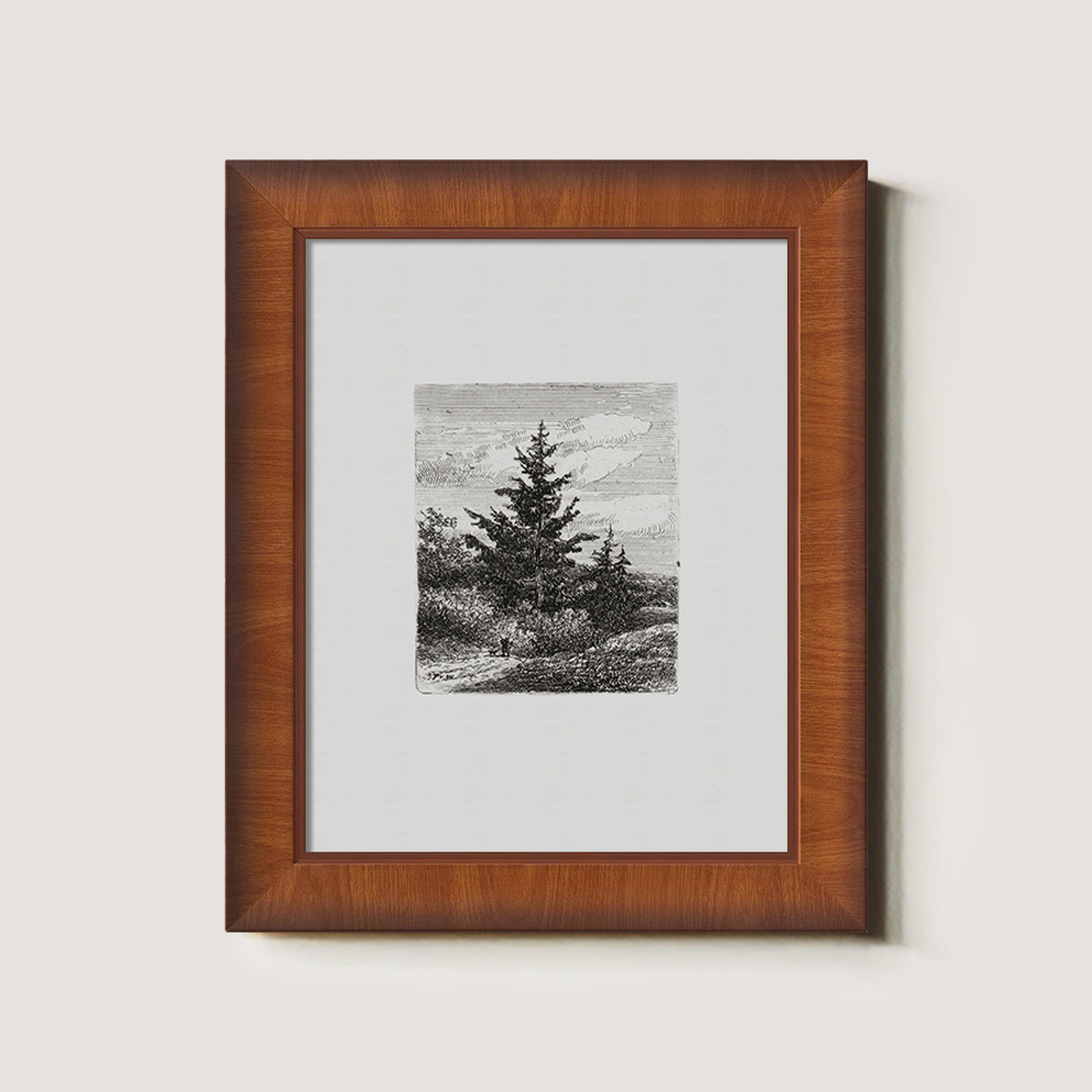 Evergreen Pine Slopes Etching Reverie