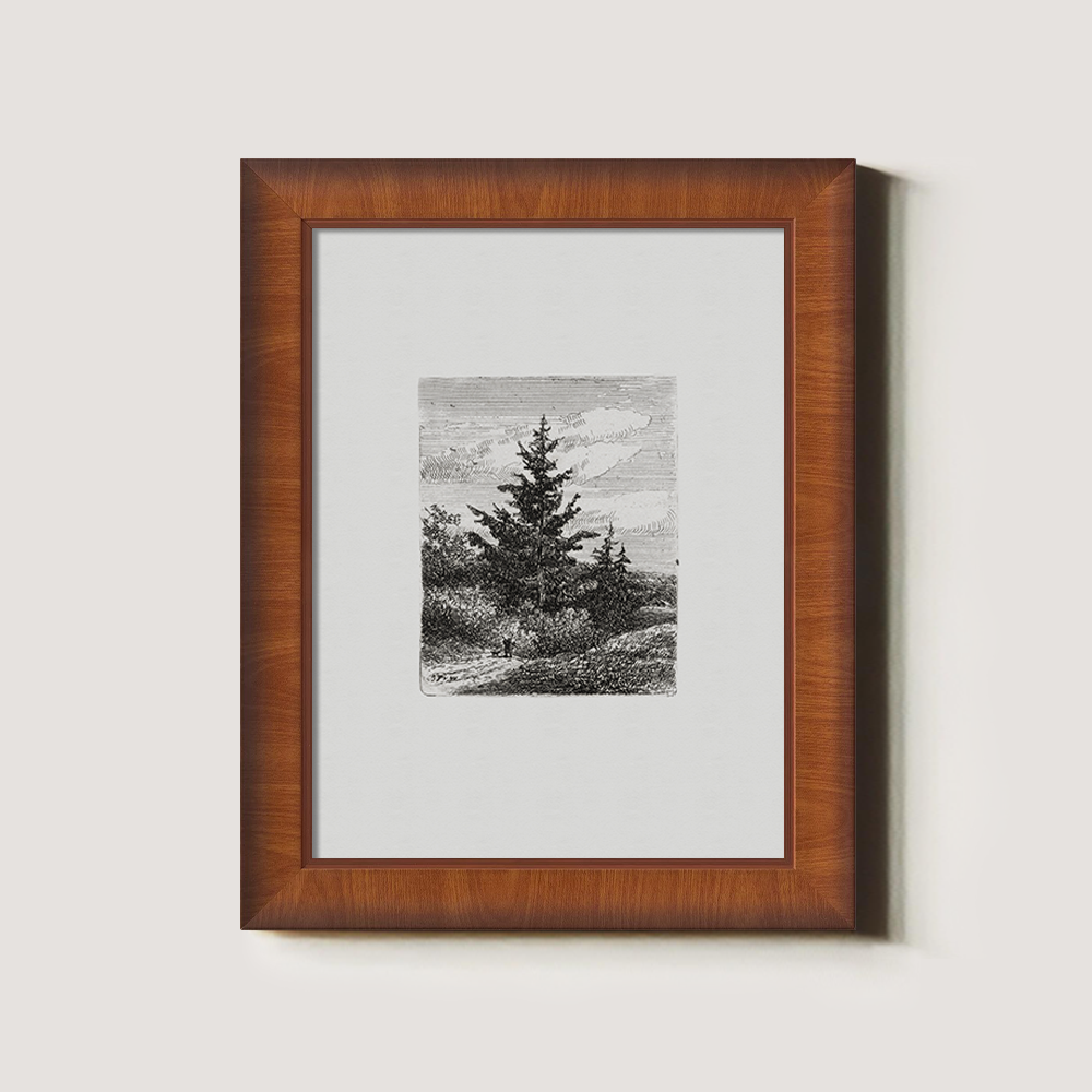 Evergreen Pine Slopes Etching Reverie