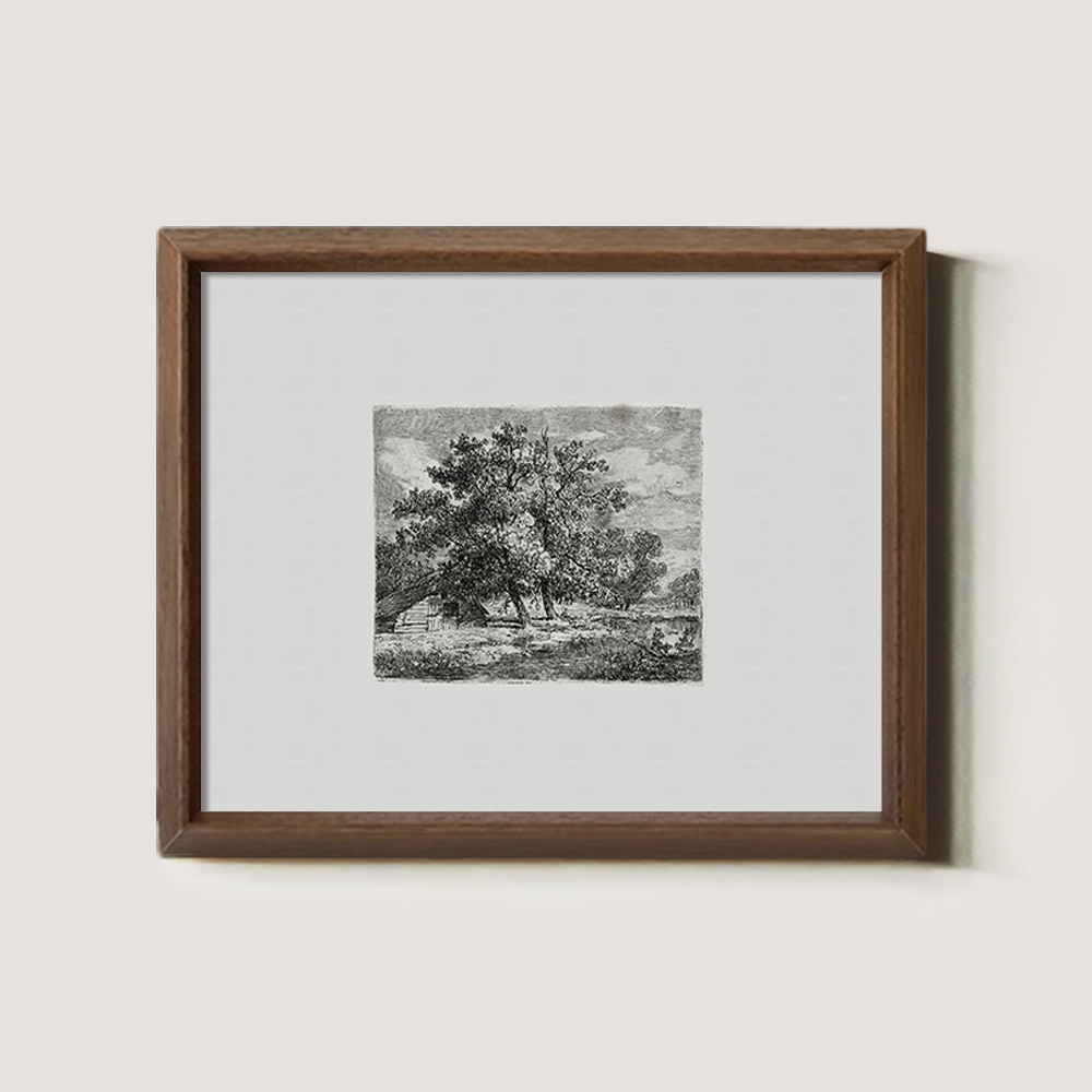 Majestic Canopy Over Cottage Etching Reverie