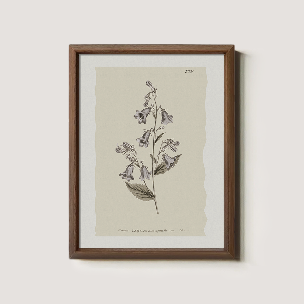 Vintage Digitalis Purpurea Botanical Etching