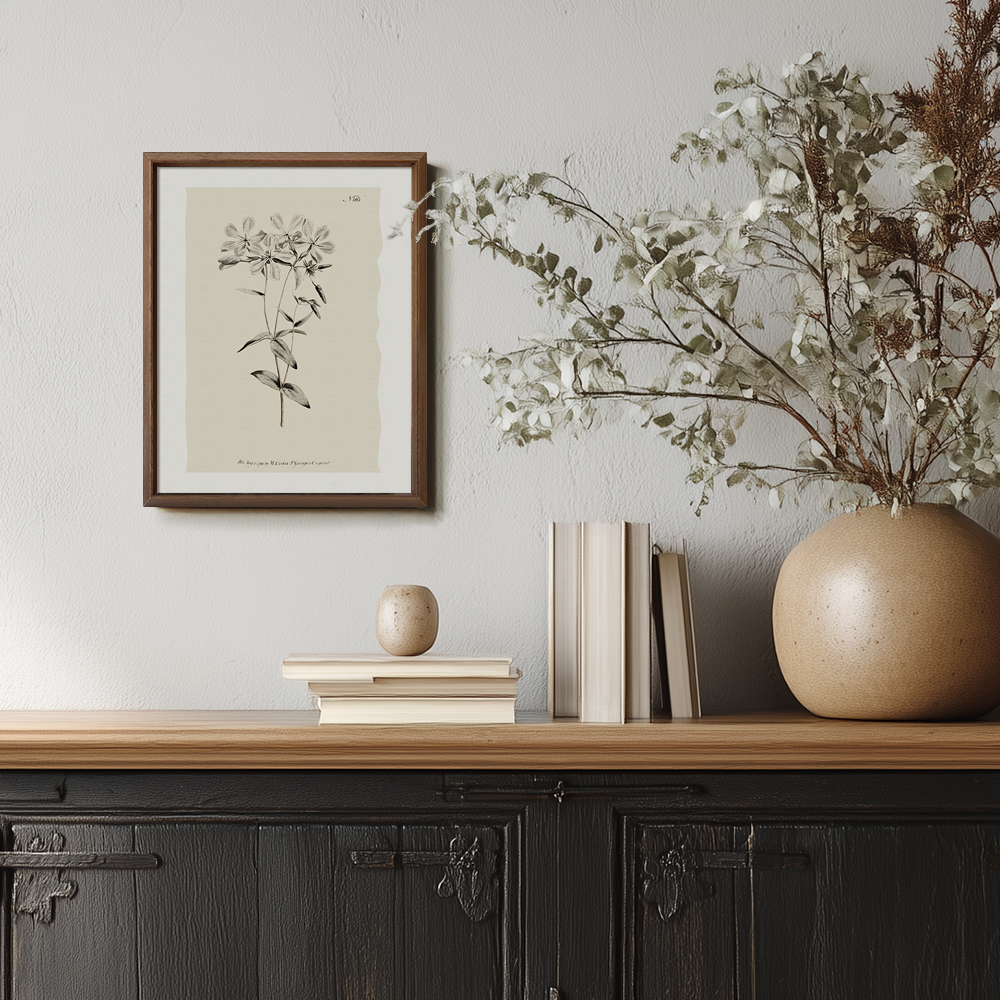 Vintage Stellaria Holostea Botanical Etching