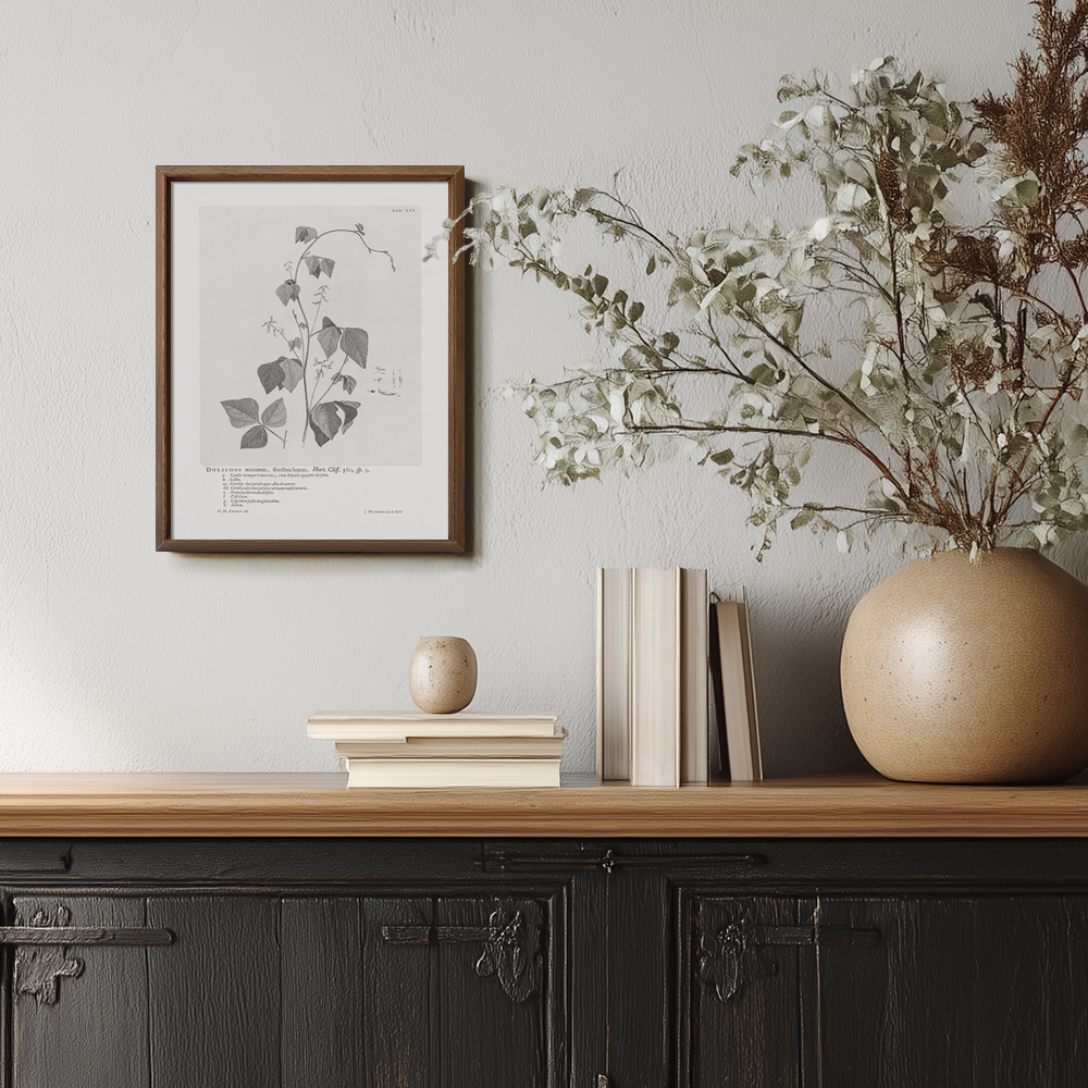 Vintage Kautia Hart Botanical Etching