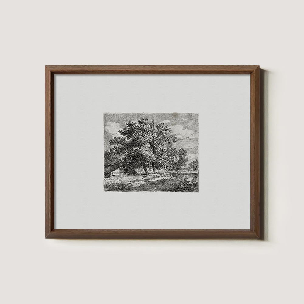 Majestic Canopy Over Cottage Etching Reverie