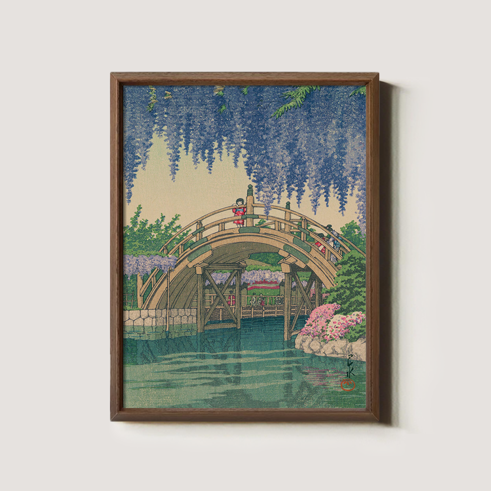 Wisteria Blossoms over Curved Drum Bridge