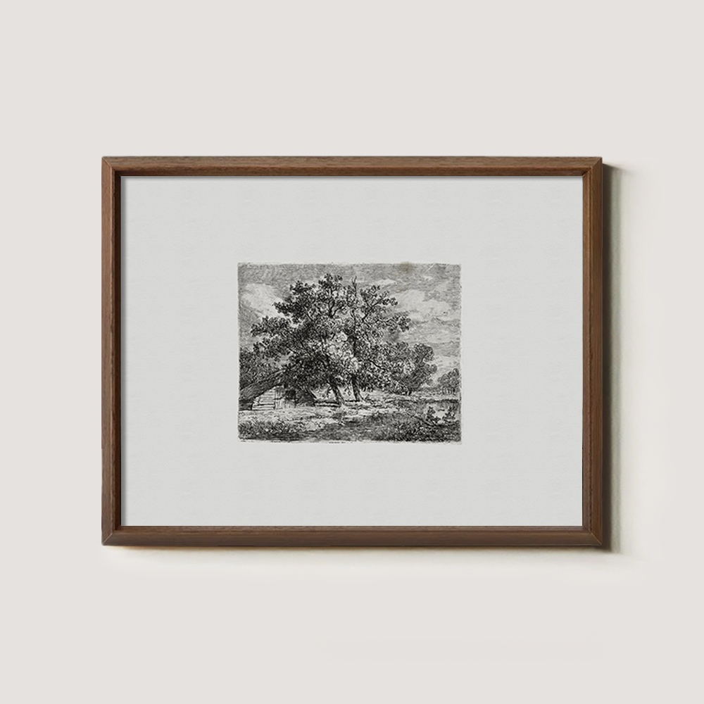 Majestic Canopy Over Cottage Etching Reverie