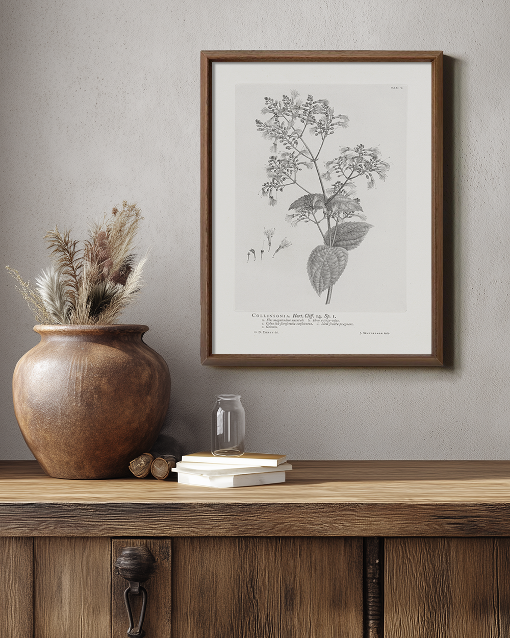 Vintage Collinnia Hart Botanical Etching