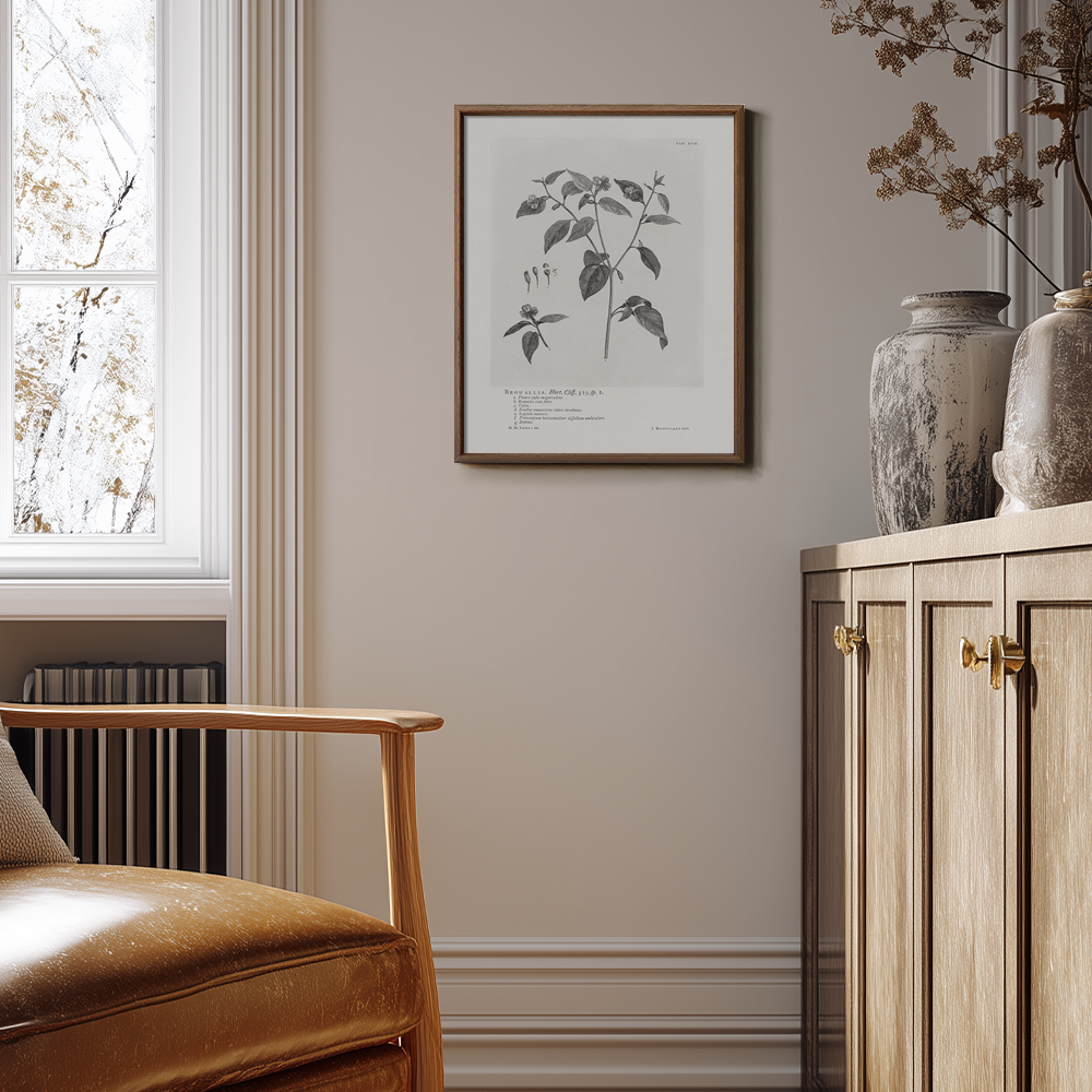 Vintage Browallia Hert Botanical Etching