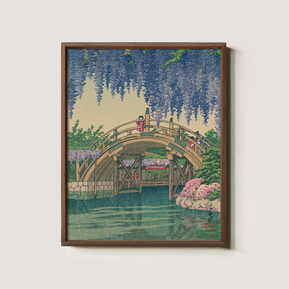 Wisteria Blossoms over Curved Drum Bridge