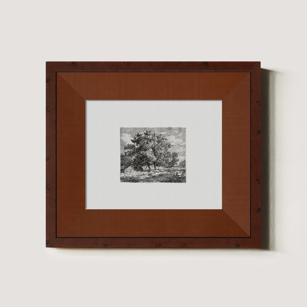 Majestic Canopy Over Cottage Etching Reverie