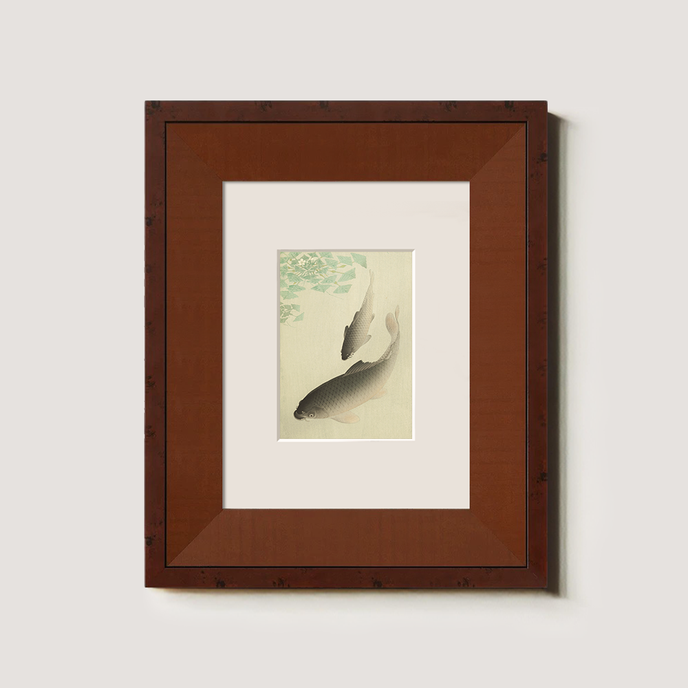 Parent and Child Koi Under Lotus Leaves