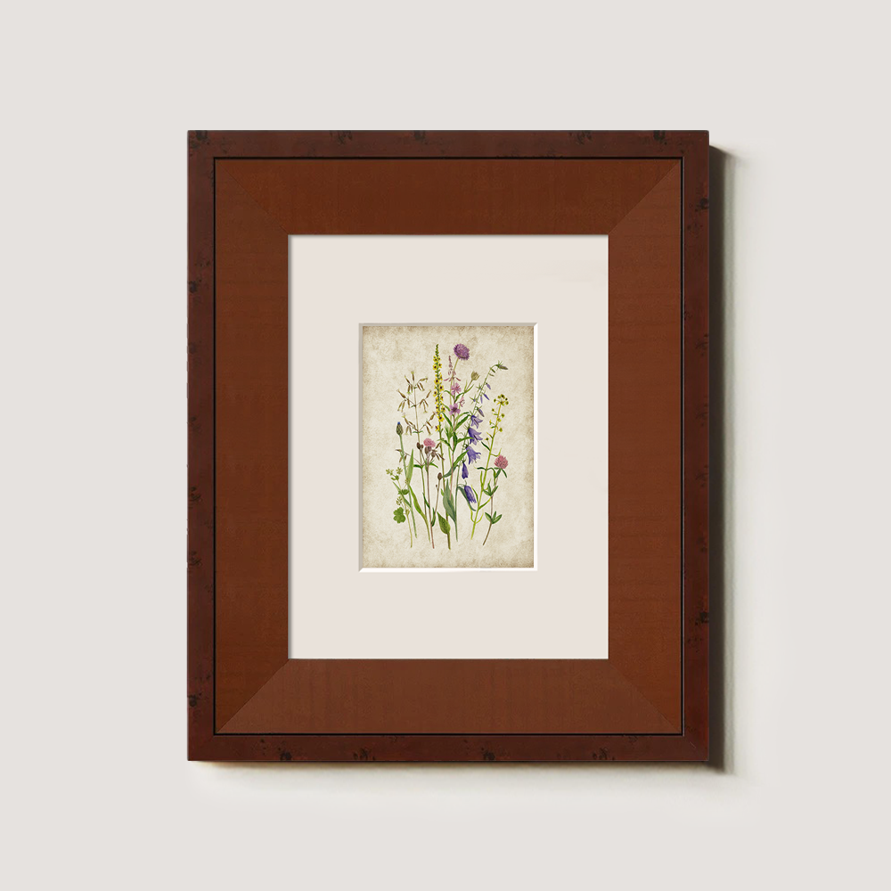 Serene Thistle Meadow Watercolor Bouquet