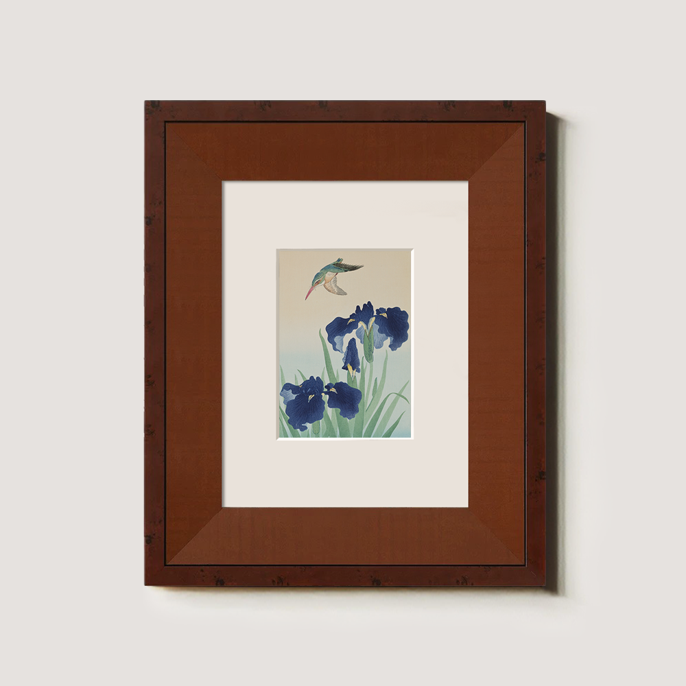 Hummingbird & Iris Bloom - Kacho-ga Study