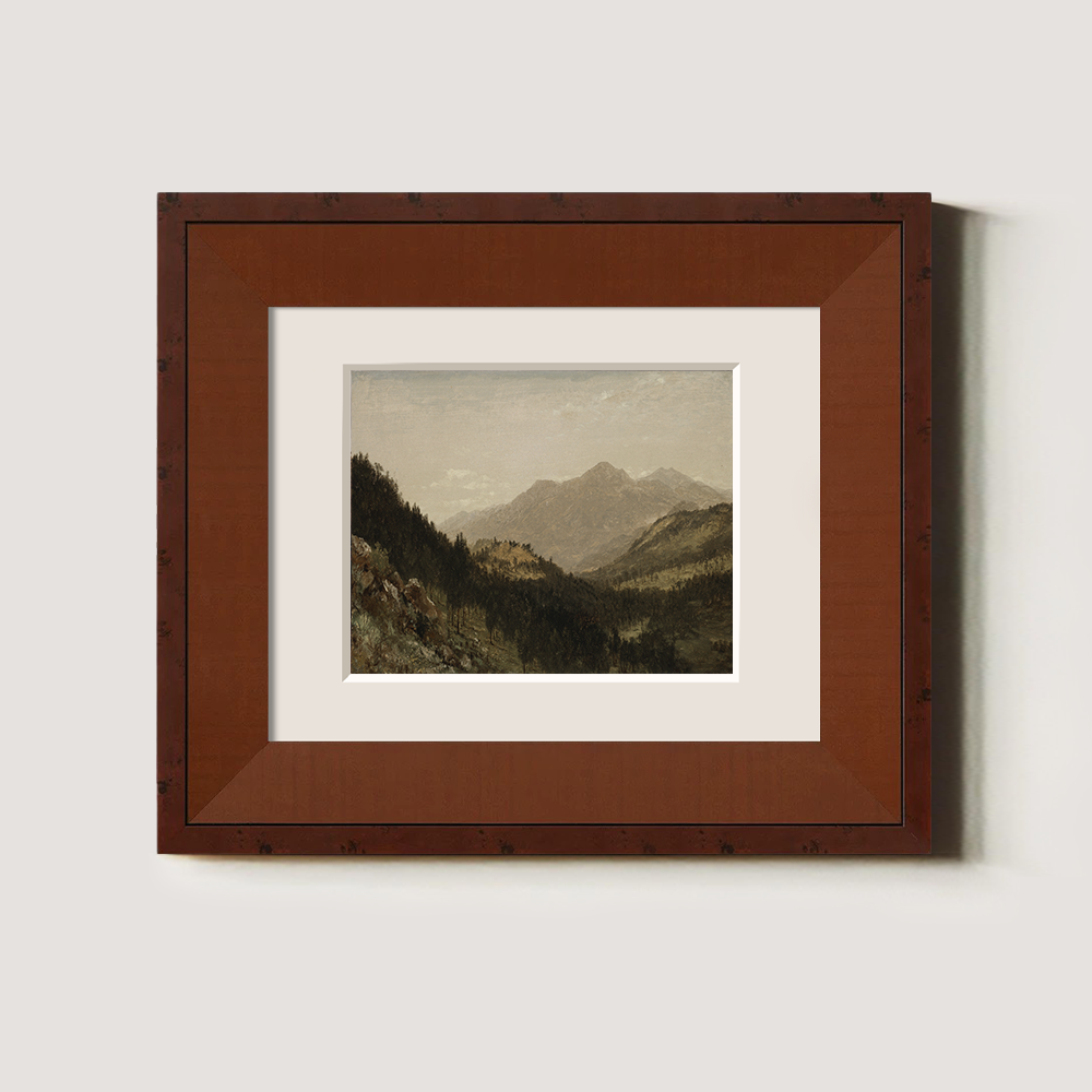 Misty Alpine Valley with Towering Peaks and Dense Firs