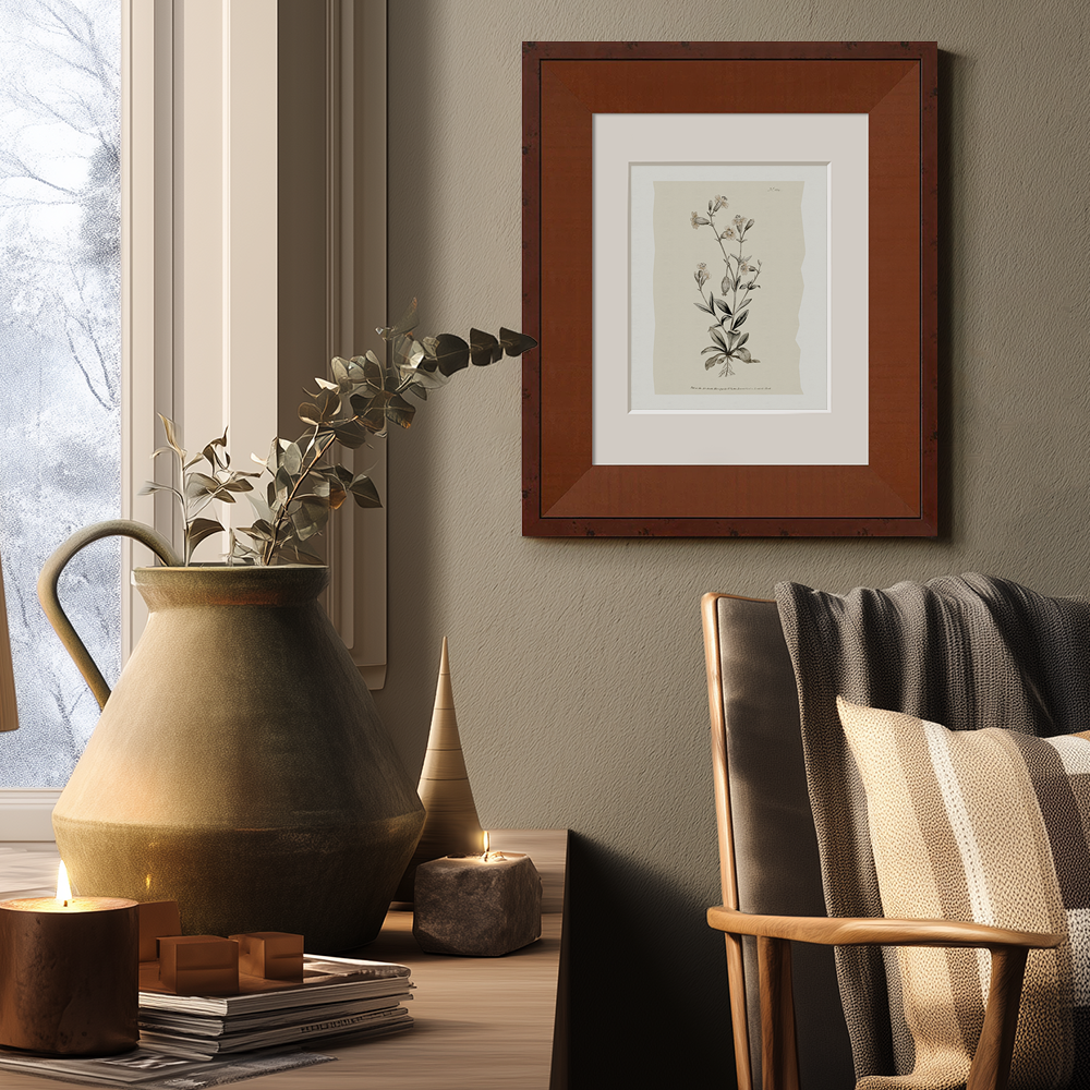 Vintage Arabis Alpina Botanical Etching