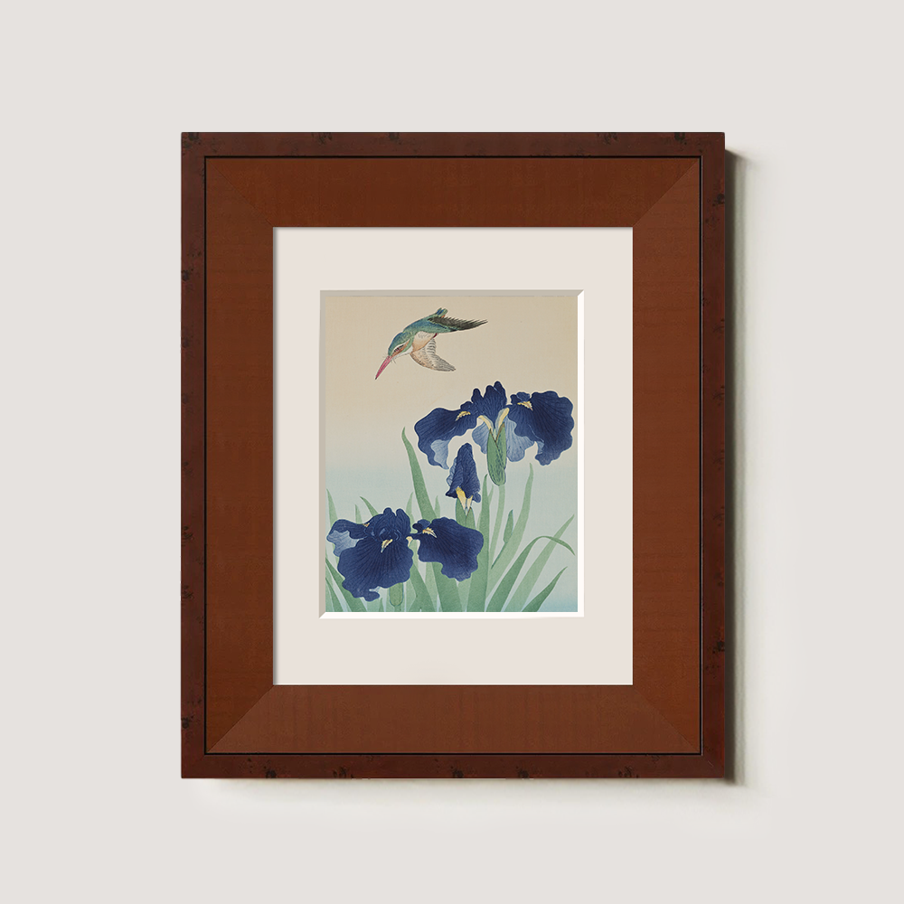 Hummingbird & Iris Bloom - Kacho-ga Study