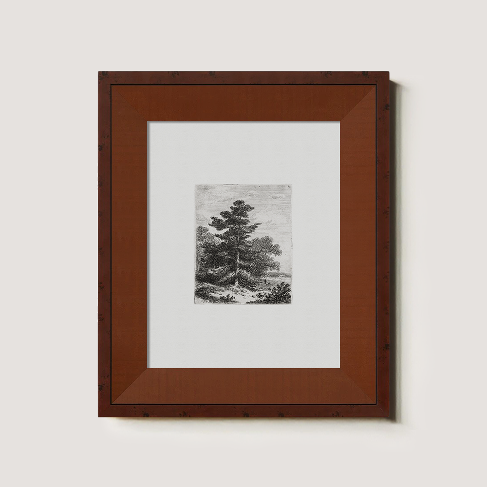 Solitary Pine Sentinel Etching Reverie